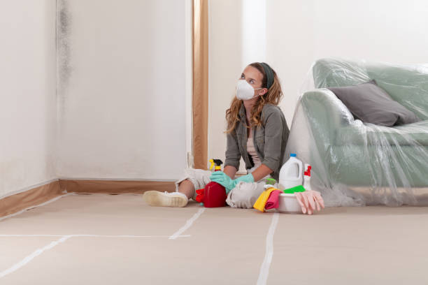 Reliable Mold Cleanup contractor in Columbus, NJ by Cheap Mold Removal